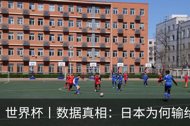 世界杯丨数据真相：日本为何输给巴西？