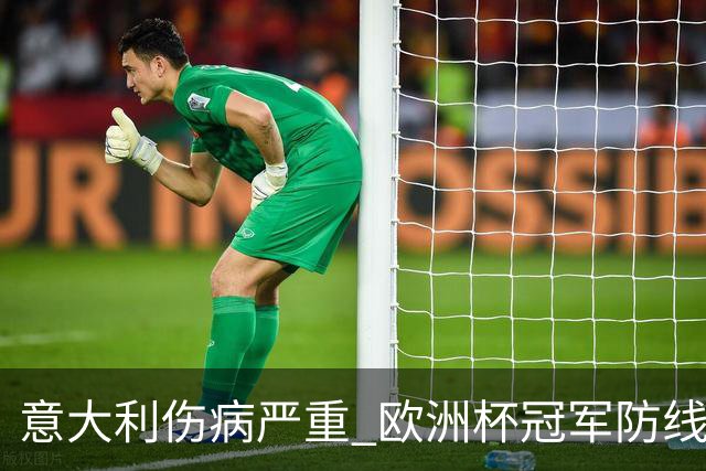 意大利伤病严重 欧洲杯冠军防线或全部无法上场